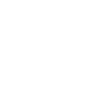 feature-point-1.png